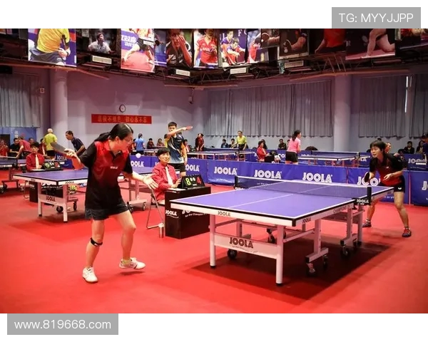 乒乓球女将王丽专访揭秘成功背后的努力与坚持