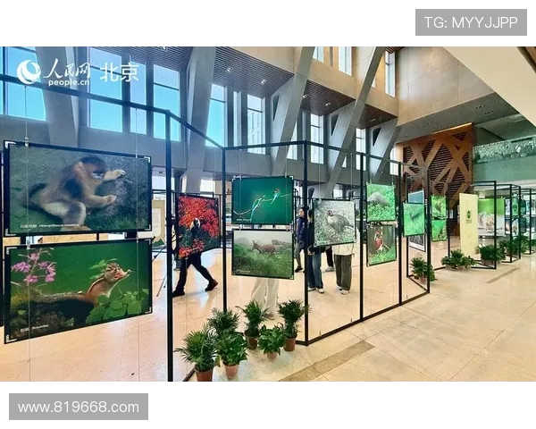 北京足球队逆袭之旅的真实记录与背后故事探秘