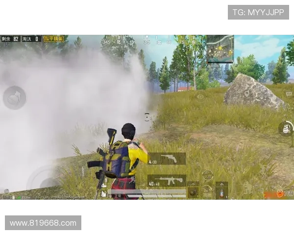 和平精英战术解析：深入探讨FPX边路渗透策略与执行技巧