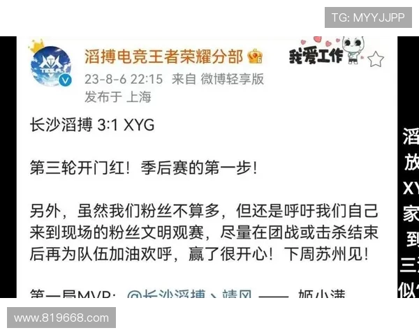 王者荣耀专题深入分析TES战队的战术节奏与团队协作策略