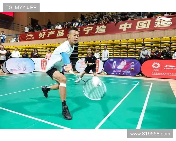 西安羽毛球队的深度解析与控制策略探讨