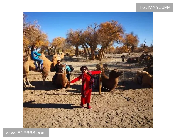 吕俊虎的成长之路与奋斗历程探秘，启示我们如何追逐梦想与实现自我价值